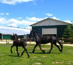 Anneke en Teske lekker aan het spelen