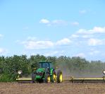 Land wordt, na het zaaien van de gerst, gerold