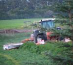 Maaien van de eerste snee luzerne