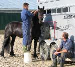 Niels verzorgt Anneke