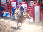 Ponoka Rodeo 2006