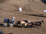 Ponoka Rodeo 2006