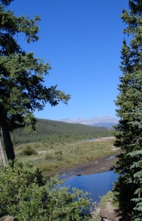 Kleine prairie in de bergen